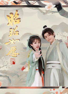 昭昭如愿