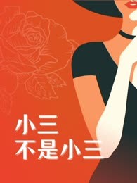 小三不是小三