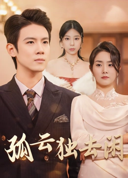孤云独去闲