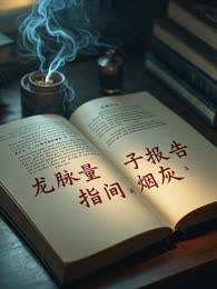 龙脉量子报告