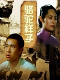 骆驼祥子}