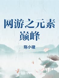 网游之元素巅峰
