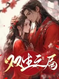 双生之局