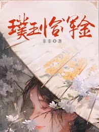璞玉恰浑金