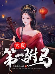 大夏第一驸马