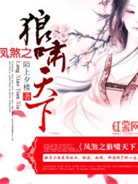 凤煞之狼啸天下
