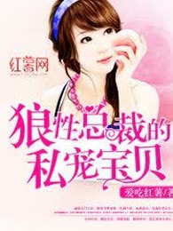 狼性总裁的私宠宝贝