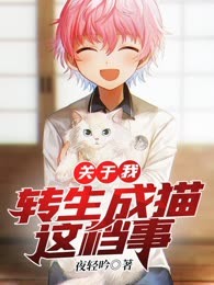 关于我转生成猫这档事