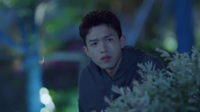 온라인에서 시 My Special Girl (Vietnamese ver.) 14화 (2025) 자막 언어 더빙 언어