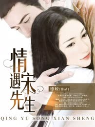 婚缠不休：情遇宋先生