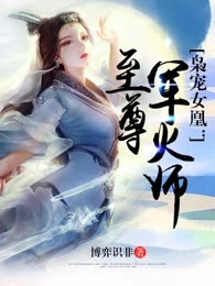 至尊军火师
