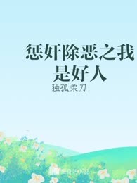 惩奸除恶之我是好人