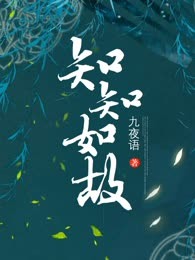 知知如故