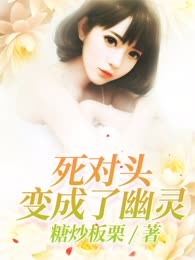 死对头变成了幽灵