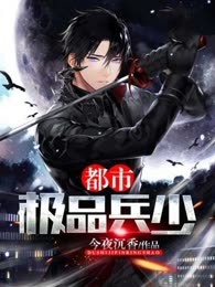 都市极品兵少