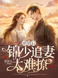 虐错后，锦少追妻太难撩