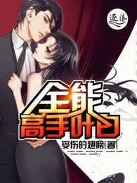 全能高手叶白