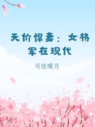 天价悍妻：女将军在现代