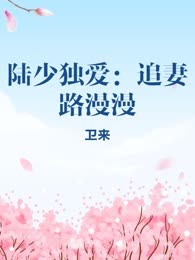 陆少独爱：追妻路漫漫