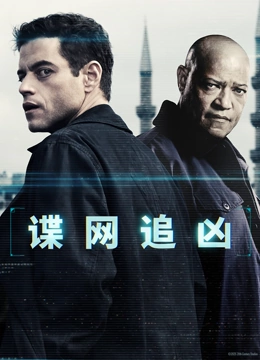 谍网追凶