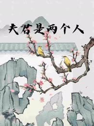 夫君是两个人