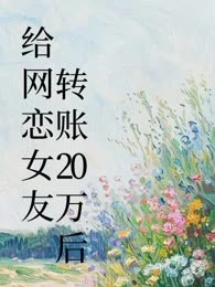 给网恋女转账20万后