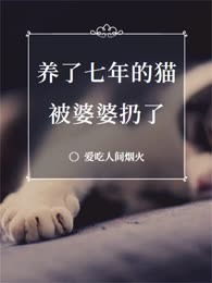 养了七年的猫被婆婆扔了