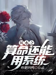 风水之算命还能用系统？