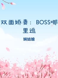双面娇妻：BOSS哪里逃