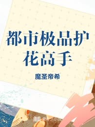 都市极品护花高手