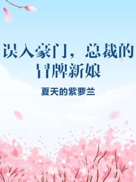 误入豪门，总裁的冒牌新娘