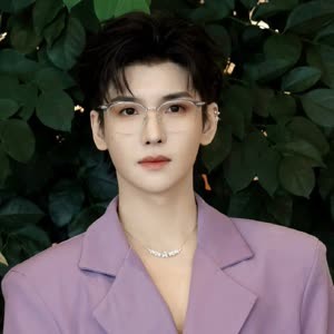 Zheng Fan Xing